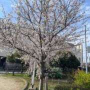 ヒメ日記 2025/04/06 09:05 投稿 ちか♪ プリティーガール