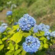 ヒメ日記 2025/07/11 07:45 投稿 ちか♪ プリティーガール