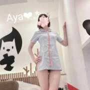 ヒメ日記 2025/11/19 09:39 投稿 彩（あや） 可憐な妻たち 太田店