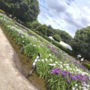 ヒメ日記 2025/06/11 02:00 投稿 伊藤もゆ 制服向上委員会