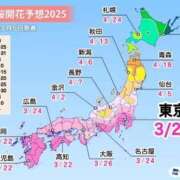 ヒメ日記 2025/03/07 15:51 投稿 ひとみ 熟女の風俗最終章 相模原店