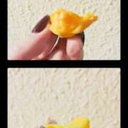 ヒメ日記 2025/10/07 13:50 投稿 ひとみ 熟女の風俗最終章 相模原店