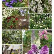 ヒメ日記 2025/03/11 09:21 投稿 ともか 熟女の風俗最終章 相模原店