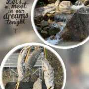 ヒメ日記 2025/08/16 09:31 投稿 ともか 熟女の風俗最終章 相模原店