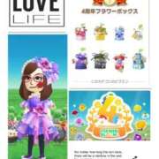 ヒメ日記 2025/11/24 09:20 投稿 ともか 熟女の風俗最終章 相模原店