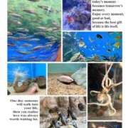 ヒメ日記 2026/01/23 09:17 投稿 ともか 熟女の風俗最終章 相模原店