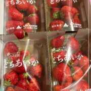 ヒメ日記 2026/04/24 09:29 投稿 ともか 熟女の風俗最終章 相模原店