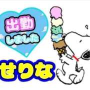 せりな 合言葉😈 熟女の風俗最終章 相模原店