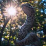 ヒメ日記 2025/01/13 11:02 投稿 まほ 熟女の風俗最終章 相模原店