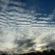 ヒメ日記 2025/01/30 10:52 投稿 まほ 熟女の風俗最終章 相模原店