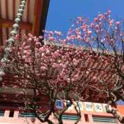 ヒメ日記 2025/02/17 11:51 投稿 まほ 熟女の風俗最終章 相模原店