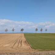 ヒメ日記 2025/05/01 10:16 投稿 まほ 熟女の風俗最終章 相模原店