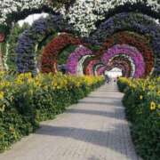 ヒメ日記 2025/08/17 10:34 投稿 まほ 熟女の風俗最終章 相模原店