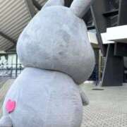 ヒメ日記 2025/08/28 11:31 投稿 まほ 熟女の風俗最終章 相模原店