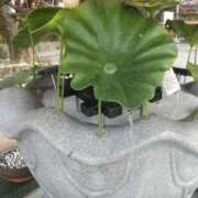 ヒメ日記 2025/10/10 09:50 投稿 まほ 熟女の風俗最終章 相模原店