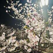 ヒメ日記 2026/04/03 02:20 投稿 あい 横浜秘密倶楽部