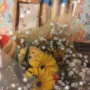 ヒメ日記 2025/09/27 19:42 投稿 みき モアグループ 土浦人妻花壇