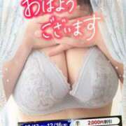 ヒメ日記 2024/12/15 09:33 投稿 りお モアグループ 土浦人妻花壇