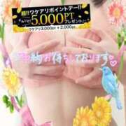 ヒメ日記 2024/12/19 22:33 投稿 りお モアグループ 土浦人妻花壇