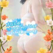 ヒメ日記 2025/07/27 20:36 投稿 りお モアグループ 土浦人妻花壇