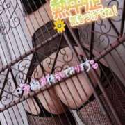 ヒメ日記 2025/08/11 17:03 投稿 りお モアグループ 土浦人妻花壇