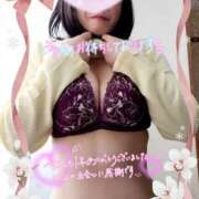 ヒメ日記 2025/12/31 17:03 投稿 りお モアグループ 土浦人妻花壇