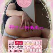 ヒメ日記 2026/04/11 11:03 投稿 りお モアグループ 土浦人妻花壇