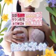 ヒメ日記 2026/04/12 09:21 投稿 りお モアグループ 土浦人妻花壇