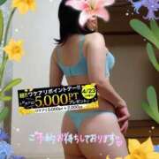 ヒメ日記 2026/04/22 17:03 投稿 りお モアグループ 土浦人妻花壇