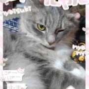 ヒメ日記 2025/03/04 20:51 投稿 みわ モアグループ 土浦人妻花壇