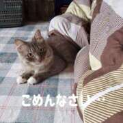 ヒメ日記 2025/05/16 12:03 投稿 みわ モアグループ 土浦人妻花壇