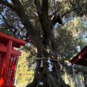 ろこ 出勤するよー🐴 SKB48