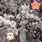 ヒメ日記 2025/03/28 22:51 投稿 りの 千葉中央人妻援護会