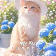 ヒメ日記 2025/05/07 21:49 投稿 りの 千葉中央人妻援護会