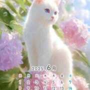 ヒメ日記 2025/06/09 18:38 投稿 りの 千葉中央人妻援護会