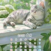 ヒメ日記 2025/06/23 21:31 投稿 りの 千葉中央人妻援護会