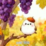 ヒメ日記 2025/10/08 21:59 投稿 りの 千葉中央人妻援護会