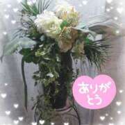 ヒメ日記 2025/10/28 00:19 投稿 りの 千葉中央人妻援護会