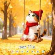 ヒメ日記 2025/11/02 21:19 投稿 りの 千葉中央人妻援護会