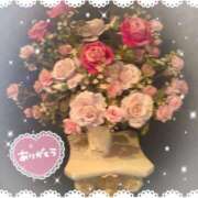 ヒメ日記 2025/11/05 14:29 投稿 りの 千葉中央人妻援護会