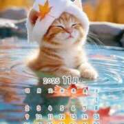 ヒメ日記 2025/11/09 17:49 投稿 りの 千葉中央人妻援護会