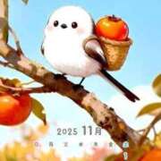 ヒメ日記 2025/11/16 17:39 投稿 りの 千葉中央人妻援護会