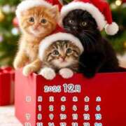 ヒメ日記 2025/11/30 09:05 投稿 りの 千葉中央人妻援護会