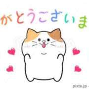 りの お礼 千葉中央人妻援護会