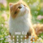 ヒメ日記 2026/03/06 00:29 投稿 りの 千葉中央人妻援護会