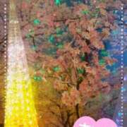 ヒメ日記 2026/03/15 00:29 投稿 りの 千葉中央人妻援護会