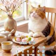 ヒメ日記 2026/03/15 14:19 投稿 りの 千葉中央人妻援護会