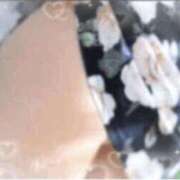 ヒメ日記 2026/03/23 21:09 投稿 りの 千葉中央人妻援護会