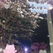 ヒメ日記 2026/03/27 21:49 投稿 りの 千葉中央人妻援護会