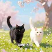 ヒメ日記 2026/03/28 00:39 投稿 りの 千葉中央人妻援護会